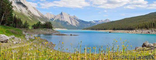 Lodge Miette Mountain